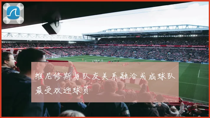 维尼修斯与队友关系融洽或成球队最受欢迎球员